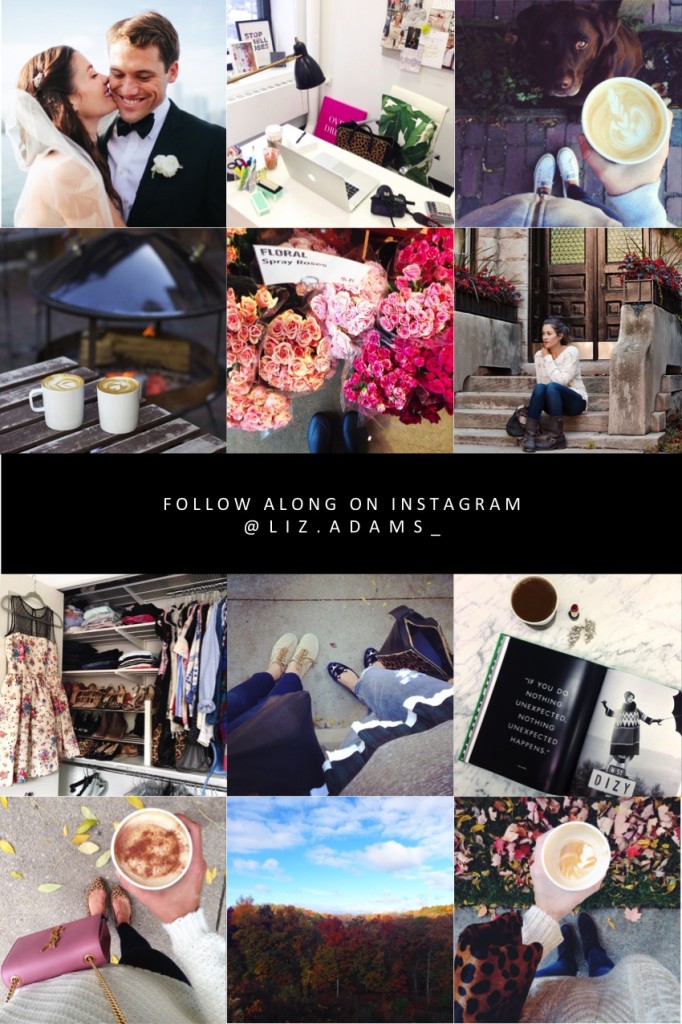 Insta Love