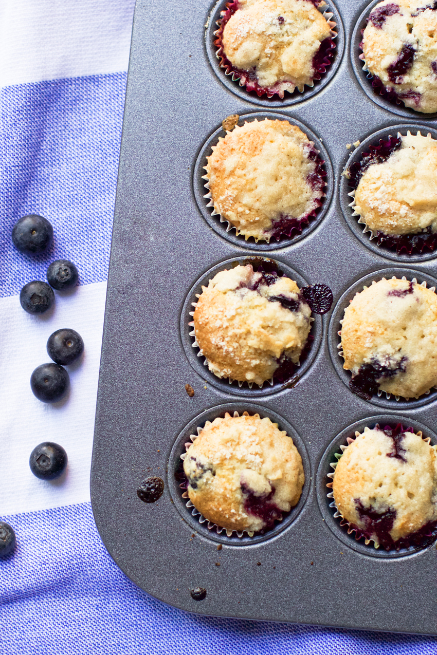 Blueberry Muffin Recipe