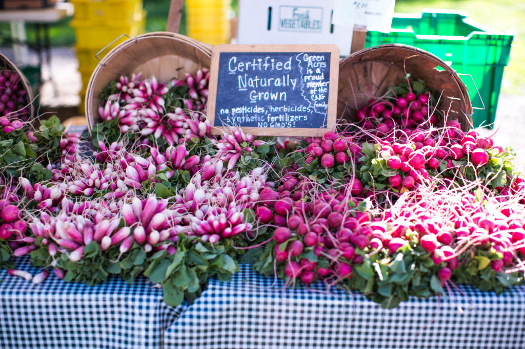 The Best Summer Activities in Chicago