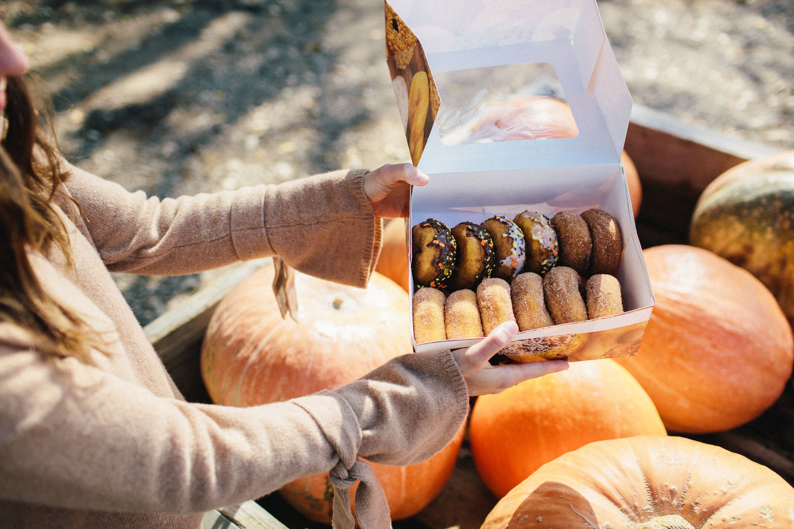 Six Day Trips to Take from Chicago this Fall