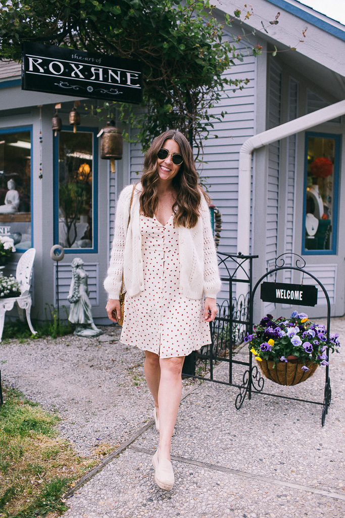 Strawberry Print Dress in Leland, Michigan