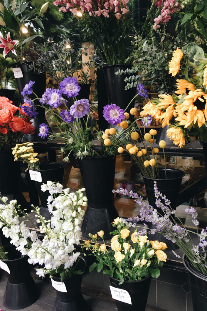 Five Ways to Be More Green Right Now