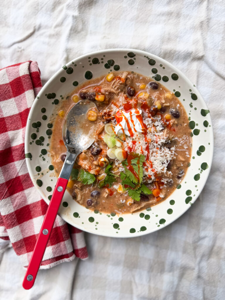 Crockpot Salsa Verde Chicken Soup